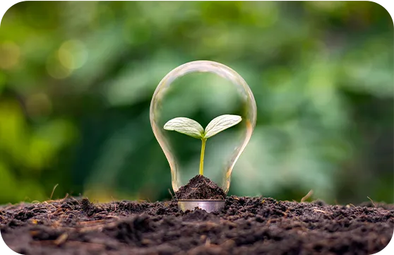 Equipment and Process Upgrades